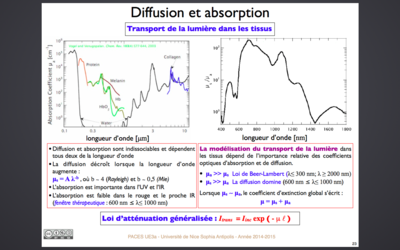 Capture d’écran 2017-12-01 à 17.11.39.png