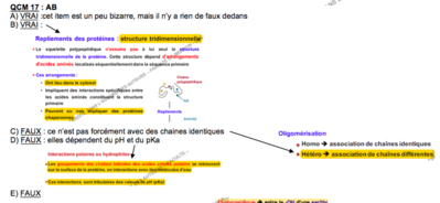 Capture d’écran 2017-12-03 à 22.18.50.png