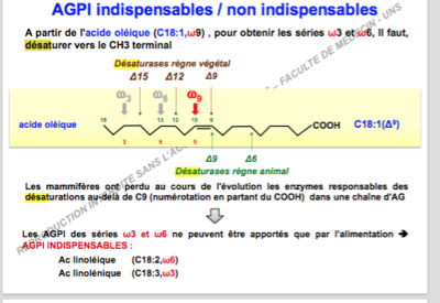 Capture d’écran 2017-12-04 à 10.47.26.png