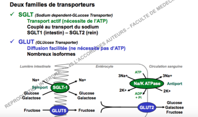 Capture d’écran 2017-12-04 à 11.25.18.png