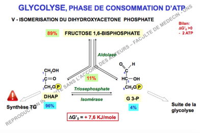 Capture d’écran 2017-12-04 à 11.39.32.png