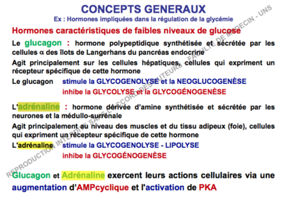Capture d’écran 2017-12-04 à 11.46.48.png
