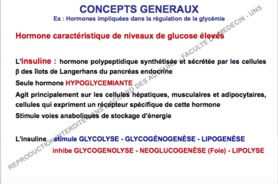 Capture d’écran 2017-12-04 à 11.46.56.png