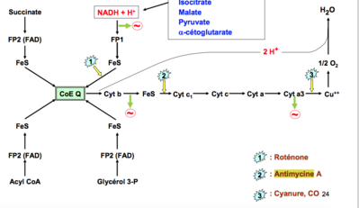 Capture d’écran 2017-12-04 à 11.49.10.png