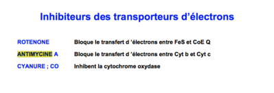 Capture d’écran 2017-12-04 à 11.49.22.png