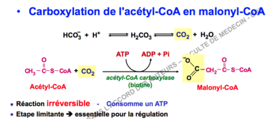 Capture d’écran 2017-12-04 à 15.50.20.png