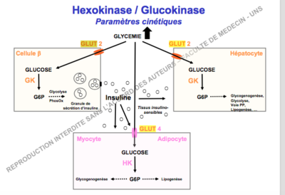 Capture d’écran 2017-12-05 à 13.25.20.png