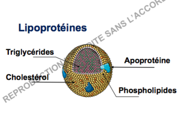 Capture d’écran 2017-12-05 à 13.46.48.png