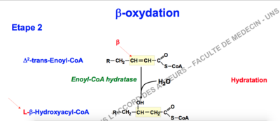Capture d’écran 2017-12-05 à 13.53.20.png