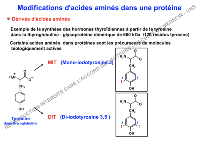 Capture d’écran 2017-12-05 à 14.09.55.png