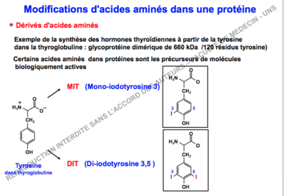 Capture d’écran 2017-12-05 à 14.12.32.png