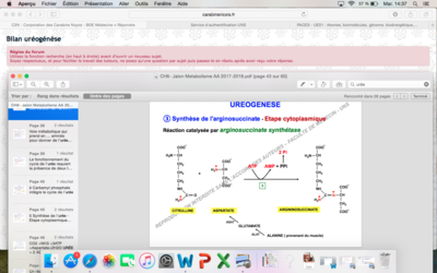 Capture d’écran 2017-12-05 à 14.37.24.png
