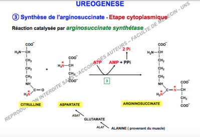Capture d’écran 2017-12-05 à 14.37.26.png