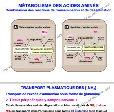 Capture d’écran 2017-12-06 à 14.03.03.png