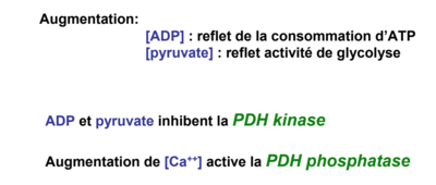 Capture d’écran 2017-12-06 à 20.57.50.png