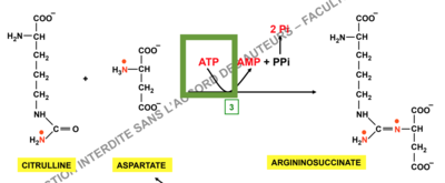 Capture d’écran 2017-12-08 à 20.03.54.png