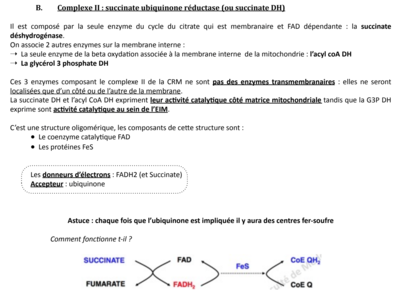 Capture d’écran 2017-12-08 à 20.13.18.png
