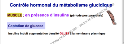 Capture d’écran 2017-12-10 à 15.00.06.png