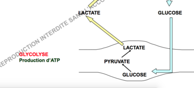Capture d’écran 2017-12-10 à 15.00.10.png