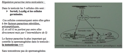 Capture d’écran 2017-12-11 à 17.26.14.png