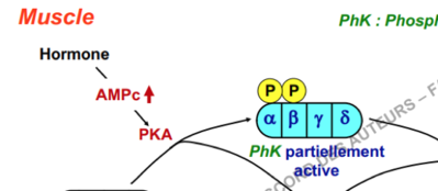 Capture d’écran 2017-12-12 à 20.04.01.png