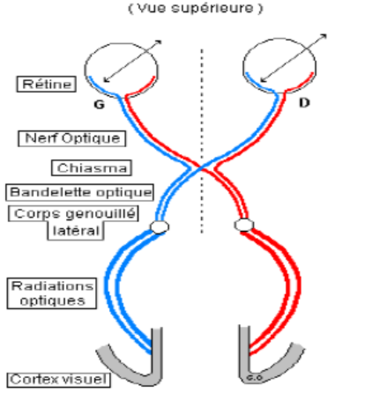 Capture d’écran 2017-12-12 à 22.41.57.png