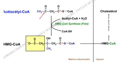 Capture d’écran 2017-12-13 à 21.23.25.png