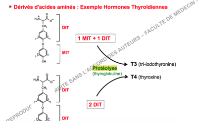 Capture d’écran 2017-12-14 à 17.10.56.png