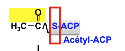 Capture d’écran 2017-12-14 à 18.53.40.png
