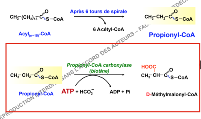 Capture d’écran 2017-12-14 à 19.20.09.png