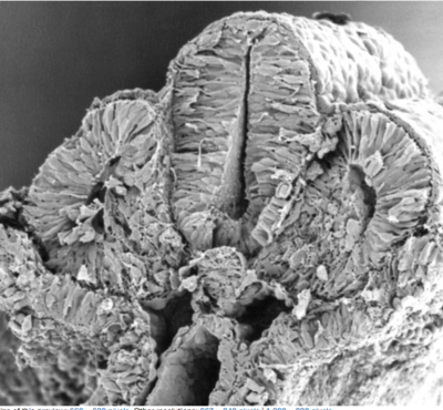 Capture d’écran 2017-12-16 à 10.57.41.png