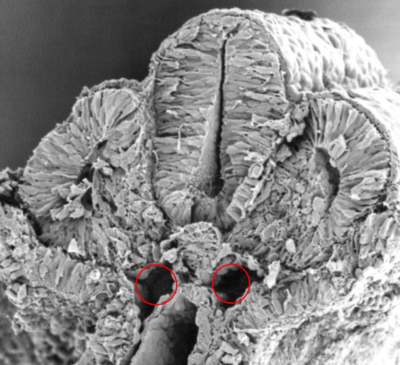 Capture d’écran 2017-12-16 à 21.31.57.png