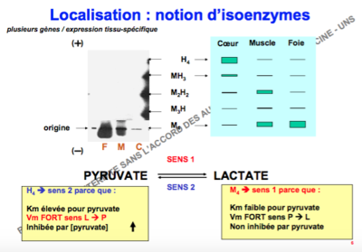 Capture d’écran 2017-12-17 à 14.20.53.png