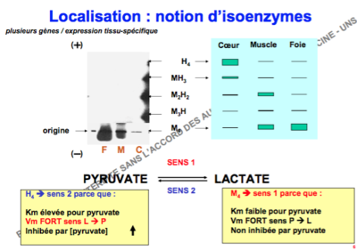 Capture d’écran 2017-12-17 à 14.25.11.png