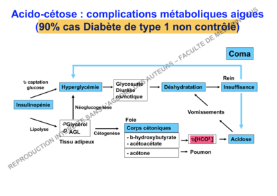 Capture d’écran 2017-12-17 à 18.23.14.png