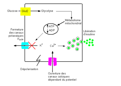 Capture d’écran 2018-01-16 à 18.41.36.png