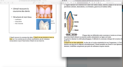 Capture d’écran 2018-01-22 à 17.48.53.png