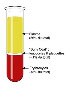 sédimentation sang.jpg