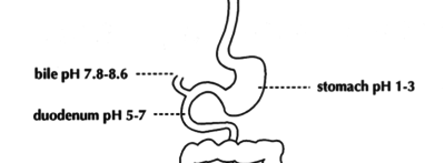 Capture d’écran 2018-01-31 à 18.31.53.png