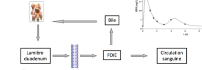 Capture d’écran 2018-02-10 à 17.41.27.png