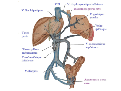 Capture d’écran 2018-02-12 à 11.10.58.png