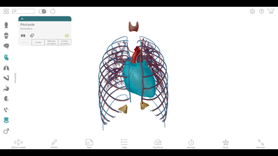 Capture d'écran 2018-02-16 11.17.34.png