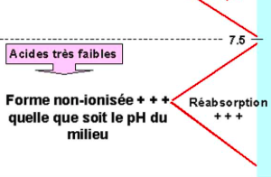 Capture d’écran 2018-02-18 à 22.01.52.png