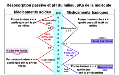 Capture d’écran 2018-02-18 à 22.09.47.png