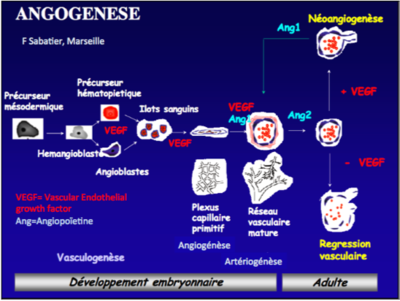 Capture d’écran 2018-02-28 à 12.31.30.png