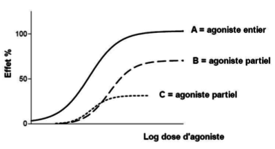 Capture d’écran 2018-02-28 à 19.04.43.png