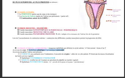 Capture d’écran 2018-03-31 à 09.46.35.png