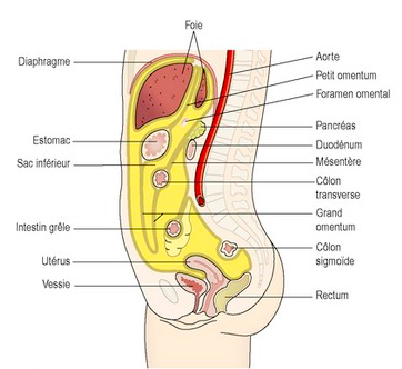 Capture d’écran 2018-03-31 à 15.15.51.png
