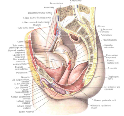 Capture d’écran 2018-03-31 à 15.16.04.png