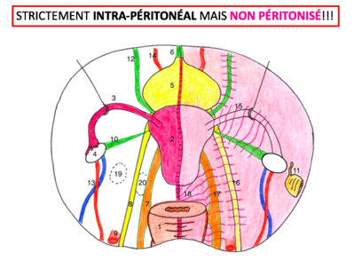 Capture d’écran 2018-03-31 à 15.31.59.png